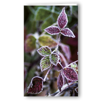 Neutrale Karte Rauhreif