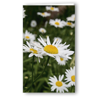 Neutrale Karte Margerite