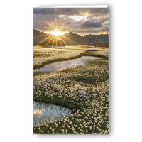 Kondolenzkarte Wollgrasfeld TI