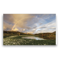 Kondolenzkarte Regenbogen VS