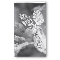 Neutrale Karte Vergänglichkeit