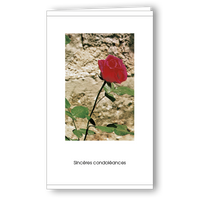 Kondolenzkarte Rose