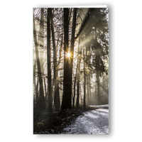 Kondolenzkarte Licht im Wald