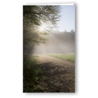 Kondolenzkarte Waldlichtung