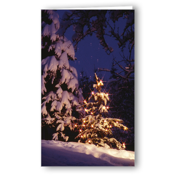 Advents- / Weihnachtskarte Weihnachtsbaum im Schnee