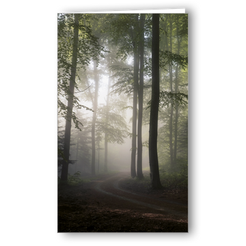 Kondolenzkarte Waldfrühling