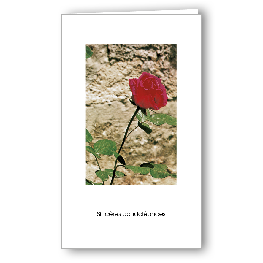 Kondolenzkarte Rose