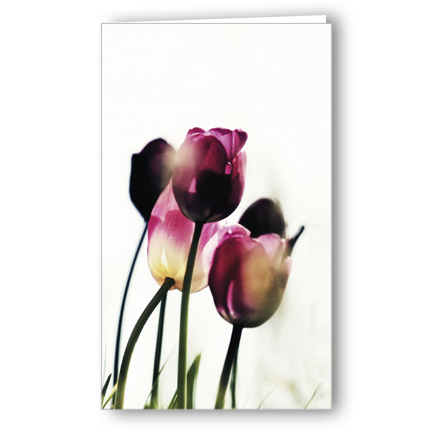 Neutrale Karte Tulpe