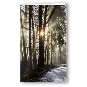 Kondolenzkarte Licht im Wald
