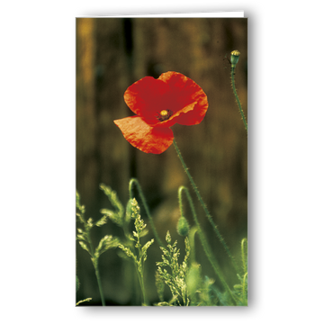 Kondolenzkarte Mohnblume