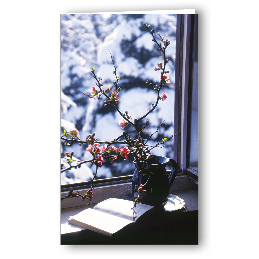 Kondolenzkarte Winterfenster